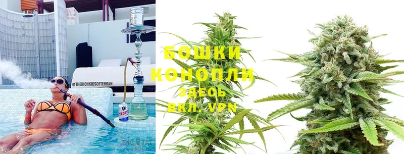 Бошки Шишки White Widow  MEGA tor  Биробиджан 